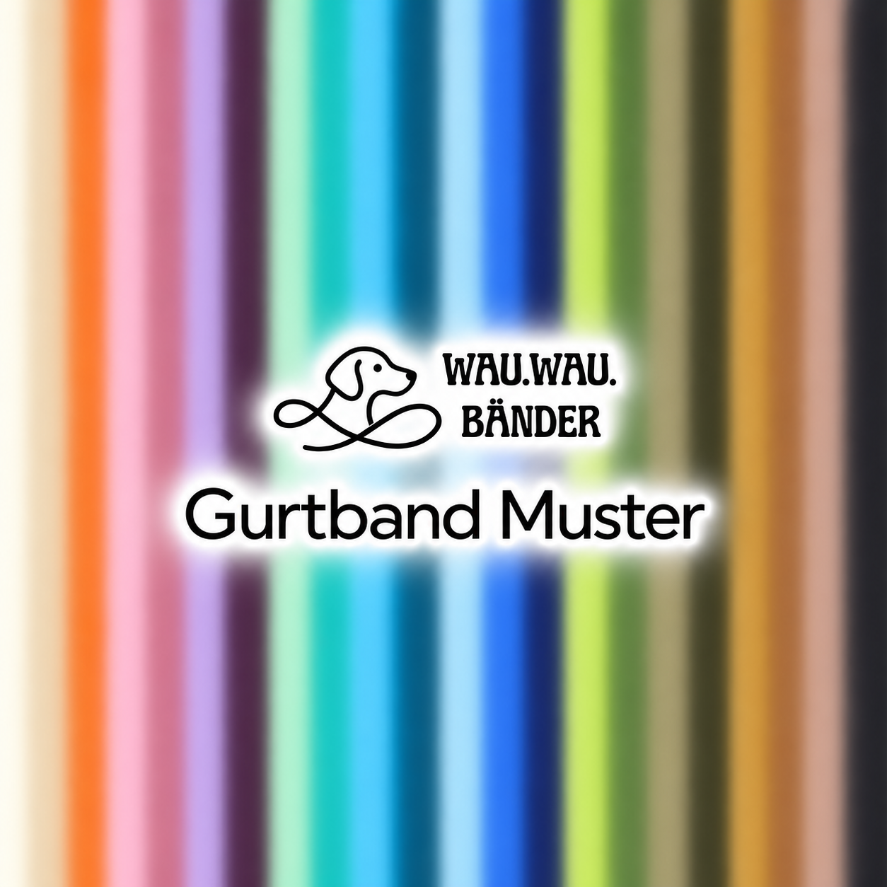 Gurtband Musterkarte
